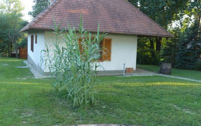 Csillagrét Porta
